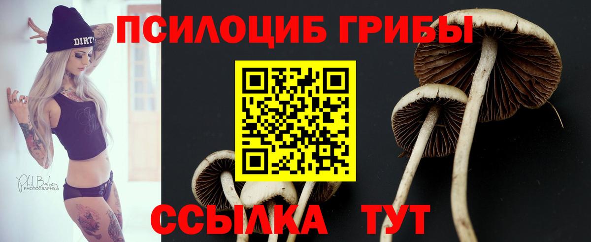Галлюциногенные грибы мухоморы  Вход с VPN  Лениногорск 